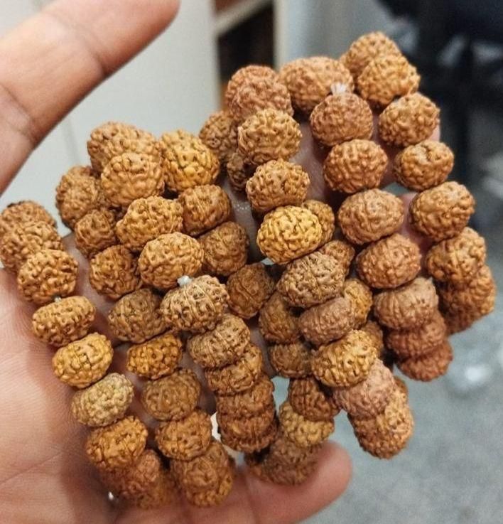 ⭐⭐⭐⭐⭐The Lakshmi Magnet-Your Key to Financial Freedom & Success-7 Mukhi Rudraksha Bracelet